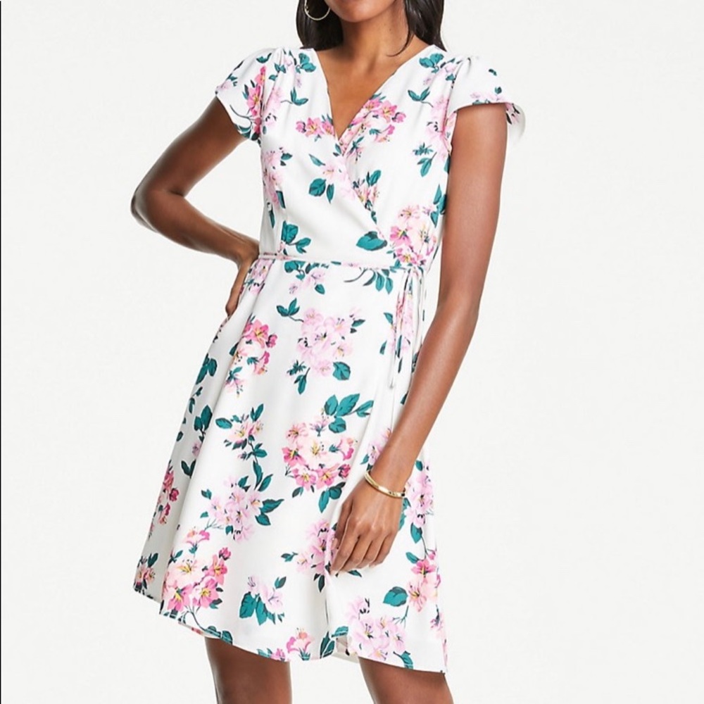 Ann Taylor Dress